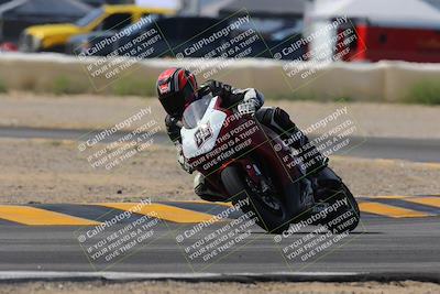 media/Mar-12-2023-SoCal Trackdays (Sun) [[d4c8249724]]/Turn 2 (1130am)/